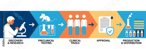Vaccine development process in medical infografic banner