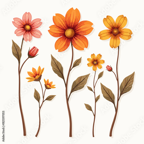 Dried flowers for crafts in various colors and styles on white background  