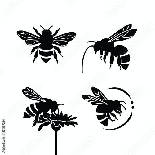 Set of four black silhouette bees in various poses on a white background isolated on white background, Vector, illustration