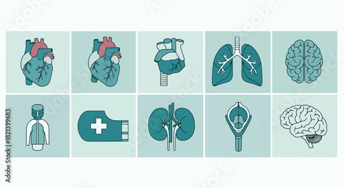 Medical Icons Human Anatomy and Health Symbols for Healthcare and Science