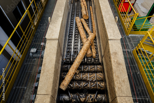 Wood logs being transported on a heavy-duty industrial conveyor inside a timber or pulp processing facility. The machinery moves raw wood for further processing.