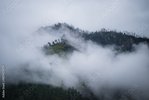 View of ethereal mountain peaks shrouded in thick, swirling mists, the sparse trees clinging to the slopes, a serene scene, Paro, Bhutan.