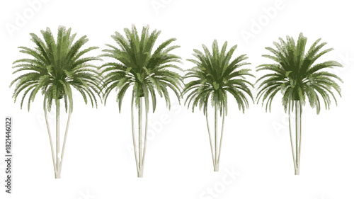 Row of Four Stylized Palm Trees with Green Fronds and Light Brown Trunks on White Background