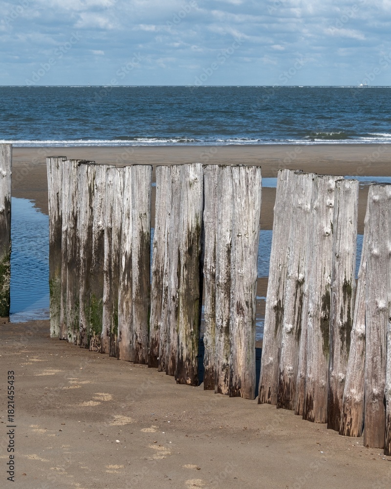 Fototapeta premium Wooden breakwaters on the North Sea