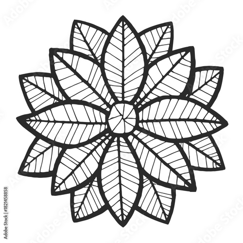Intricate line drawing of a stylized flower or mandala pattern in black on white. isolated on white background, Vector, illustration