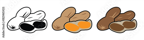 Peanut Illustration Set