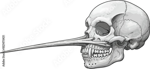Intriguing skull with a long nose, a captivating symbol of mystery, perfect for adding a unique touch to your creative projects and Halloween design