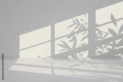 Картината върху платно Sunlight casting shadows of leaves on a white wall and floor, creating a beautif