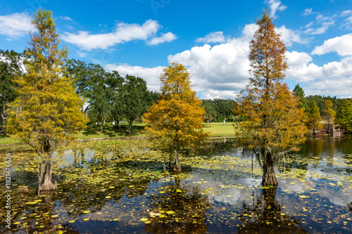 Fall in South West Florida...