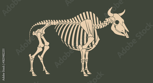 Anatomical illustration of a bison skeleton, showcasing its skeletal structure and bone arrangement against a dark background, suitable for educational or scientific purposes