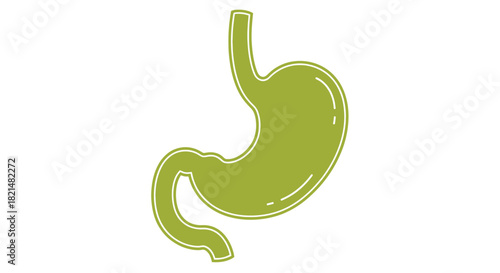 Stylized green outline illustration of a human stomach, representing digestive health and internal organ wellness. Ideal icon for medical, scientific, and biology concepts