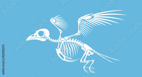Bird Skeleton in Flight Delicate Anatomy of a Feathered Creature Against a Light Blue Sky