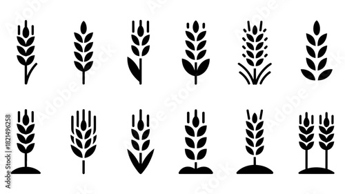 A collection of diverse wheat ear icons representing agriculture, grain, harvest, and farming, perfect for various design applications and digital projects.