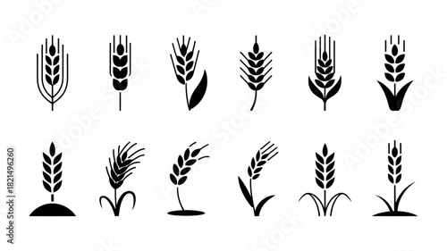 Wheat ear and grain stalk icon collection, representing agriculture, harvest, food, and natural products, isolated vector silhouettes.