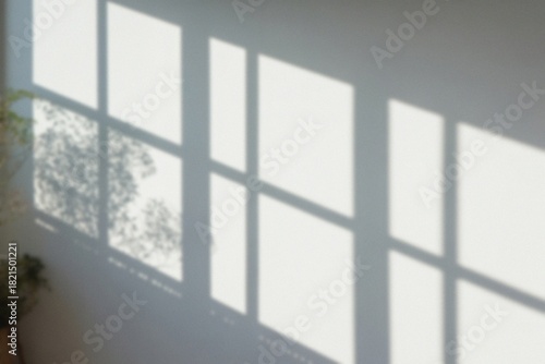 The play of light and shadow on a wall creates an artistic ambiance. The sunlight streaming through a window casts geometric shapes, adding an intriguing visual dimension to the interior space
