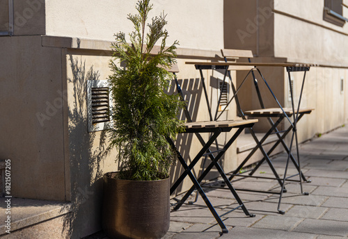 garden furniture - a table and two chairs with a potted plant next to them