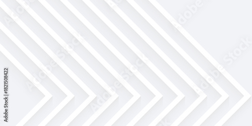 White silver soft geometric universal background for business presentation. Abstract elegant pattern. Frame borders. Minimalist empty lined blank BG.eps 10