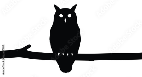 Black silhouette of an owl perched on a branch bird