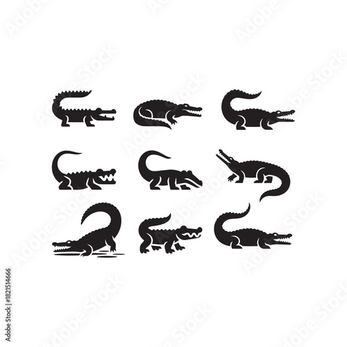 Vector graphic design featuring crocodile silhouettes.