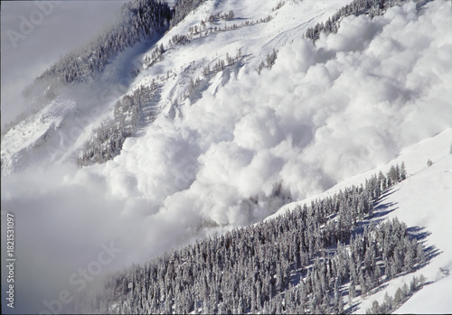 Obraz na plátně Grande avalanche dans les Alpes valaisannes