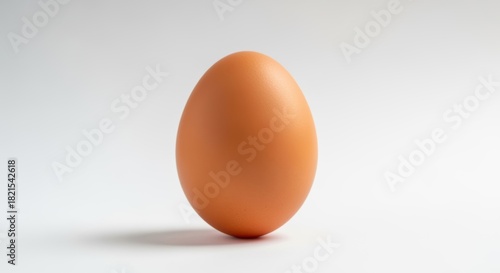 Wallpaper Mural A single brown chicken egg resting upright on a plain white background. The egg has a smooth, uniform surface and a slightly glossy appearance, creating a simple and minimalist composition. Torontodigital.ca