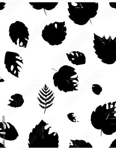 Vector black silhouettes set of natural leaves, icons, and plant design elements