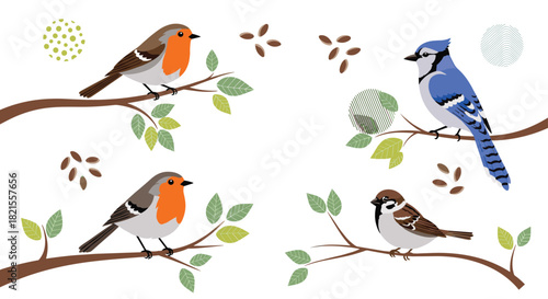 Collection of four common birds a robin blue jay and sparrow perched on leafy branches isolated on a white background.