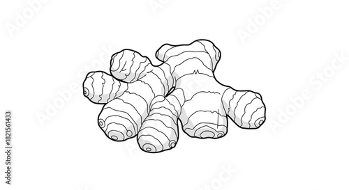 Black and white line art illustration of a knobby ginger root for coloring pages or as a simple icon for food designs.