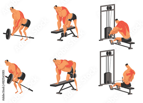 Workout illustrations showcasing various exercises, including barbell rows, bench rows, and cable rows, demonstrating proper form.