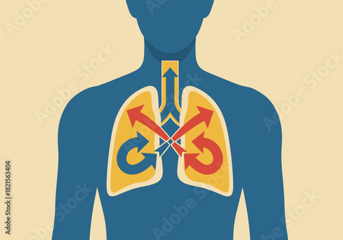 Human respiratory system with arrows illustrating airflow in lungs