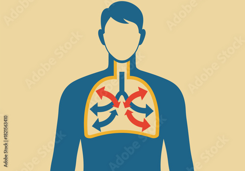 Simplified illustration of human respiratory system with airflow arrows