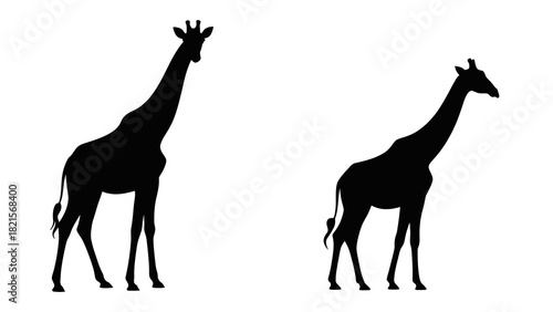 Giraffe silhouette vector image african wildlife animal illustration