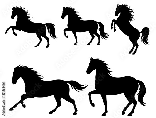 Horse silhouette vector collection equestrian equine animal graphic art
