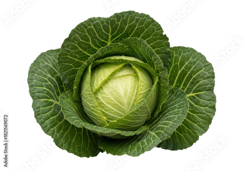 Fresh cabbage isolated on transparent background