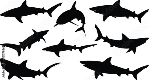 Shark silhouette vector set, black marine predator poses, swimming motion, fin shapes, ocean life graphic, aquatic illustration, design