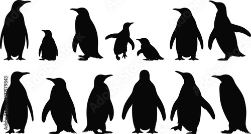 Penguin silhouette collection, black vector penguins, wildlife clipart, arctic bird icons, animal shapes, minimalist penguin illustrations, walking poses
