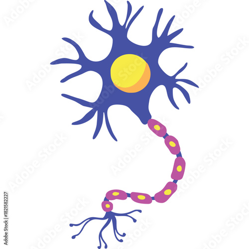 A colorful cartoon illustration of a single neuron cell on a white background.