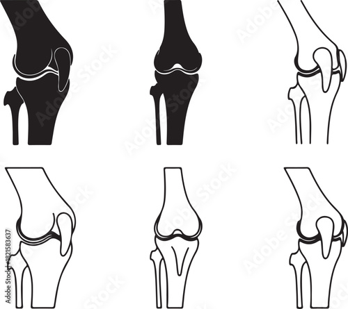 Human knee joint illustrations set, silhouettes and outlines, for medical and anatomical education
