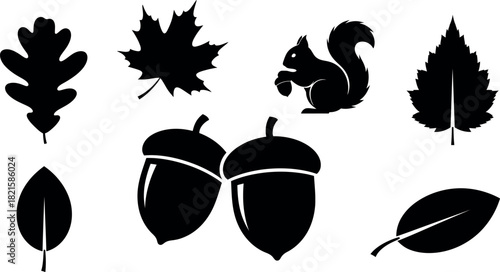 Black silhouette autumn leaves and squirrel with acorns