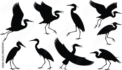Heron silhouette vector set, black bird poses, standing flying walking, long legs neck beak, wildlife graphic, nature illustration