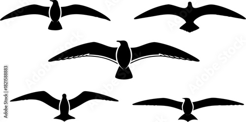 Collection of five black seagull silhouettes in flight, spreading wings across a clean white background, creating an iconic minimalist vector design element.