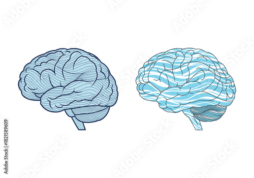 Stylized blue brain illustrations depicting intricate thought processes and cognitive functions, with dynamic wave patterns representing neural activity and the human mind's complexities