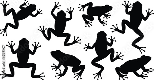 Frog silhouette collection, black frog icons, vector amphibian poses, leaping frog graphics, isolated clipart, animal motion design set