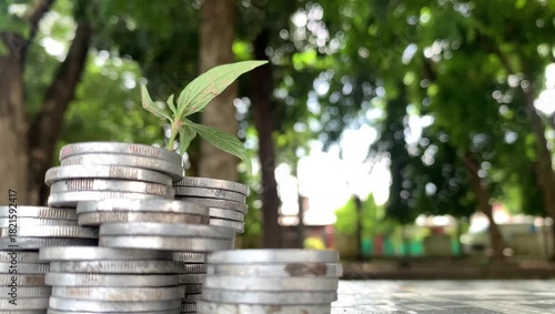 Money nurtures future green growth