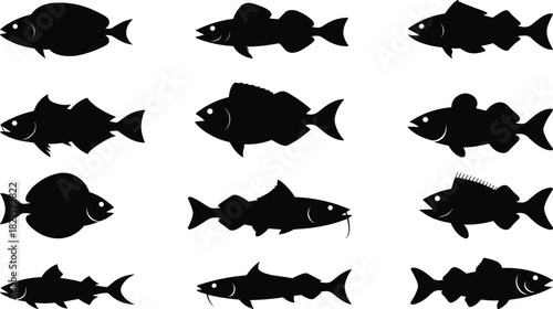 Fish silhouette vector set, black aquatic species, fin shapes, marine animal graphic, underwater life illustration, nature design, ocean