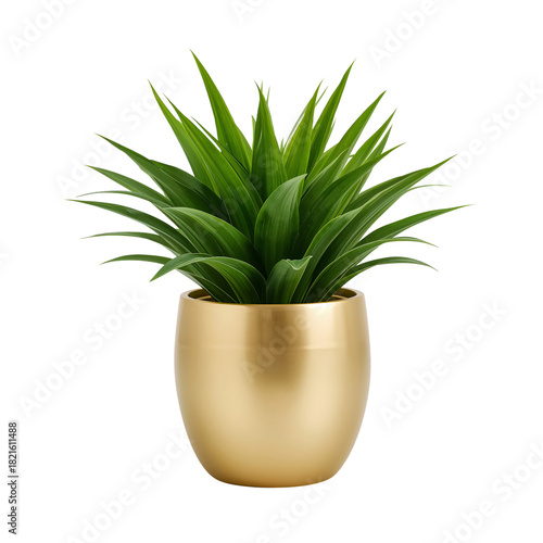 Vibrant Green Plant in Shiny Gold Pot Adding Fresh Style to Home Decor