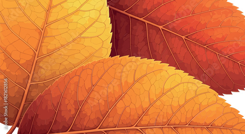 Vibrant autumn leaves displaying a rich spectrum of warm colors, symbolizing the beautiful seasonal transition and natural changes in a captivating close-up