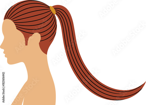 Woman's Profile Vector with Long Reddish-Brown Ponytail, Sleek Hairstyle for Beauty and Fashion Design