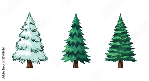 Three different cartoon style pine trees, one covered in snow, two green, isolated on white.