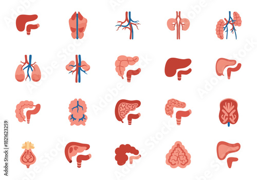 Human Internal Organs Vector Icons Set for Educational and Medical Designs